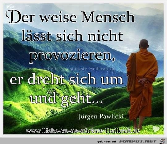 Der weise Mensch