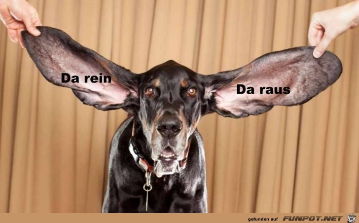 Da rein - Da raus