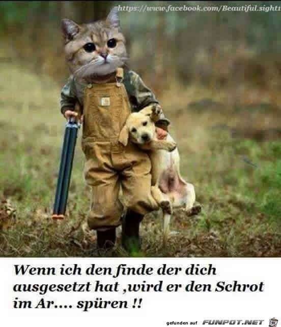 Wenn ich den finde Wenn ich den finde