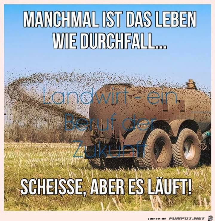 Manchmal ist das Leben