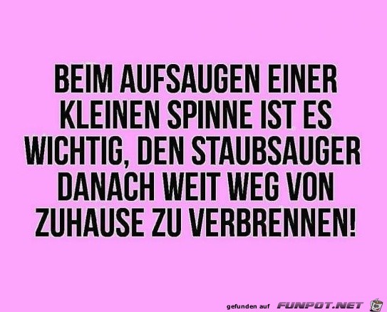 Staubsauger Staubsauger