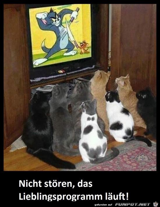 Sehr spannendes Programm Sehr spannendes Programm