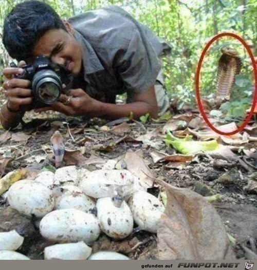 unvorsichtiger Fotograf unvorsichtiger Fotograf
