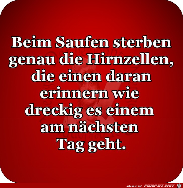 Saufen Saufen