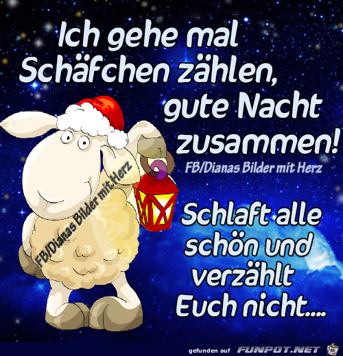 Gehe mal Schaefchen zaehlen Gehe mal Schaefchen zaehlen
