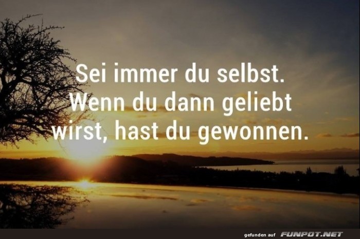 10 sch�ne Spr�che und Lebensweisheiten aus...