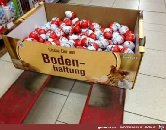 Netter Versuch Netter Versuch