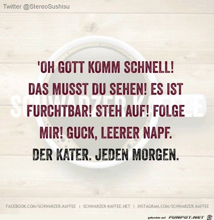 Der Kater jeden morgen das gleiche Der Kater jeden morgen das gleiche