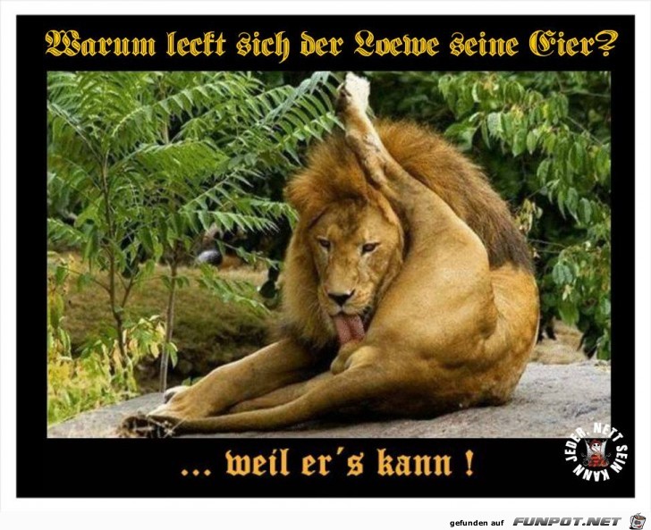 Der eine kann, der andere nicht Der eine kann, der andere nicht