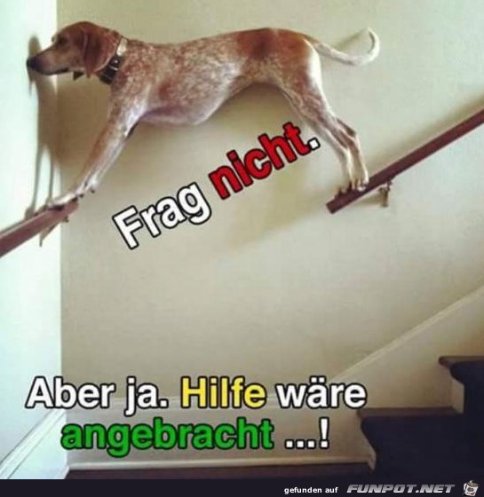 Frag nicht