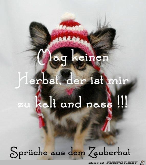 Mag keinen Herbst Mag keinen Herbst