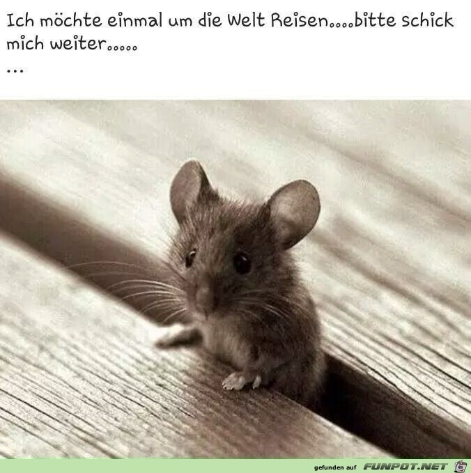 Weltreise Weltreise