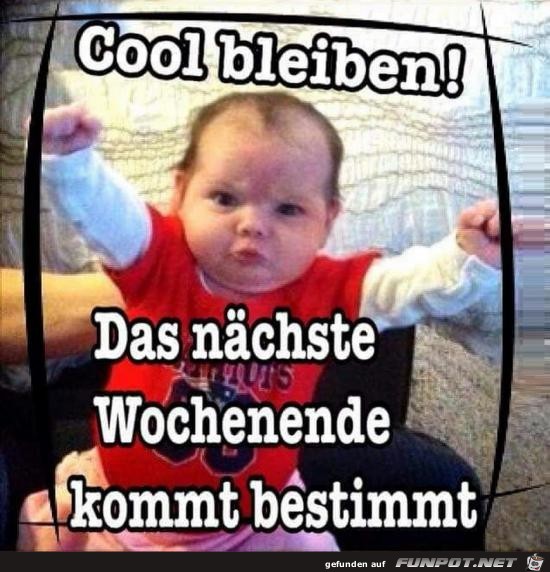 cool bleiben..... cool bleiben.....