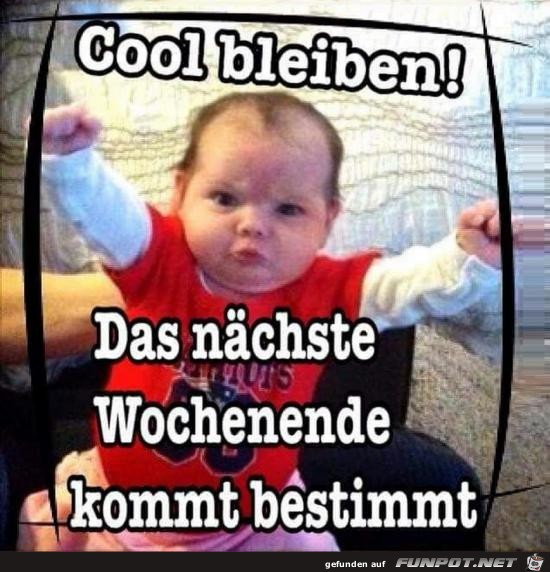 cool bleiben.....