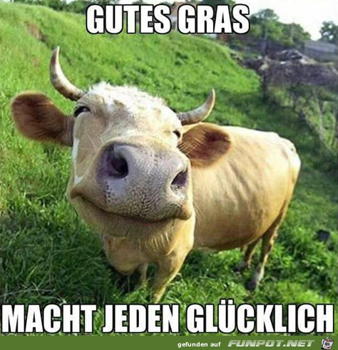 Glücklich Glücklich