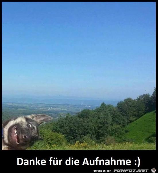 Fotobombe Fotobombe