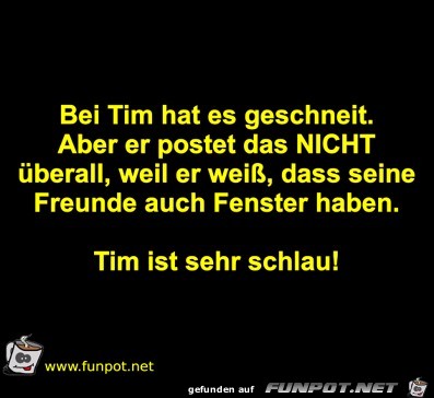 Schlau Schlau