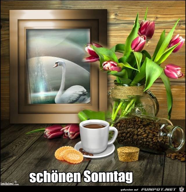 Schoenen Sonntag Schoenen Sonntag