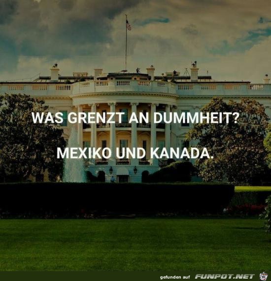 was grenzt an Dummheit?..... was grenzt an Dummheit?.....