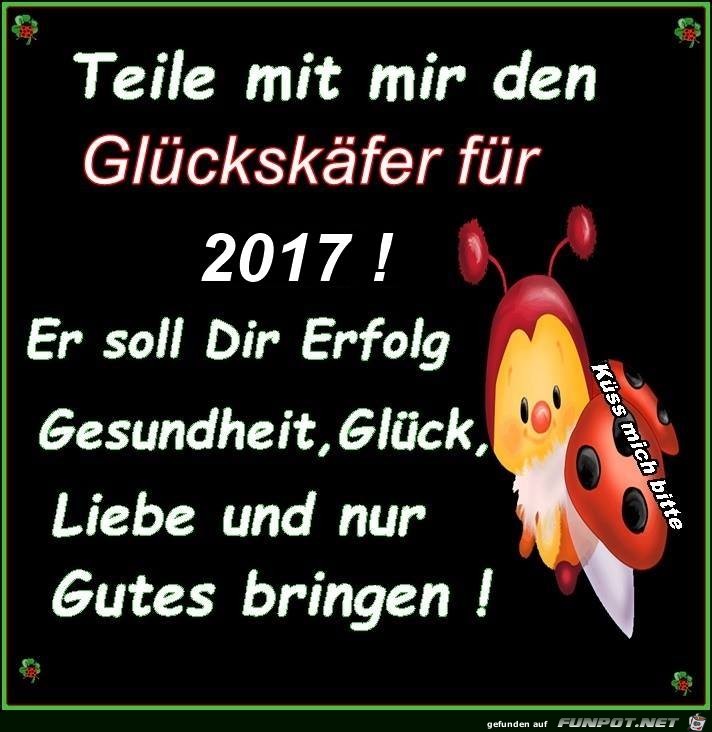 Glckskfer 2017