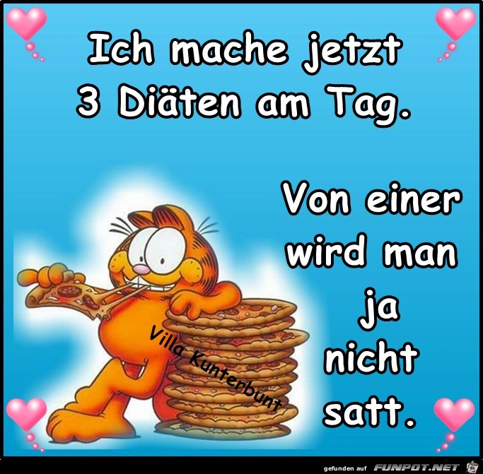 Mache jetzt 3 Diaeten am Tag Mache jetzt 3 Diaeten am Tag