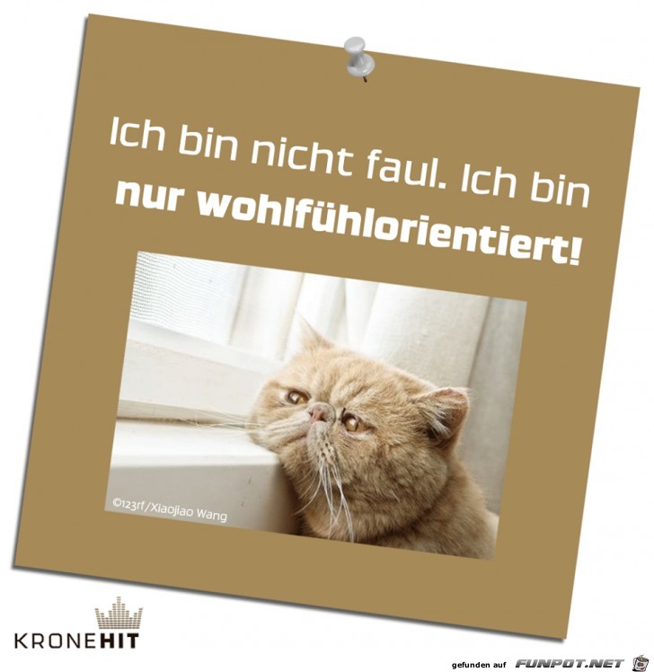 Bin nicht faul Bin nicht faul