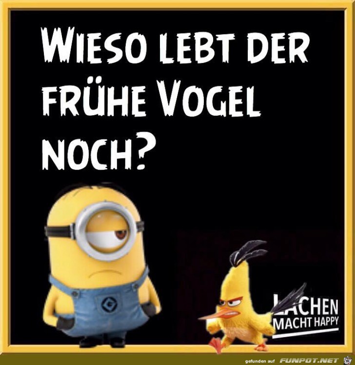 Wieso