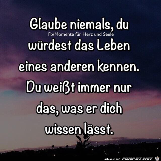 Glaube niemals