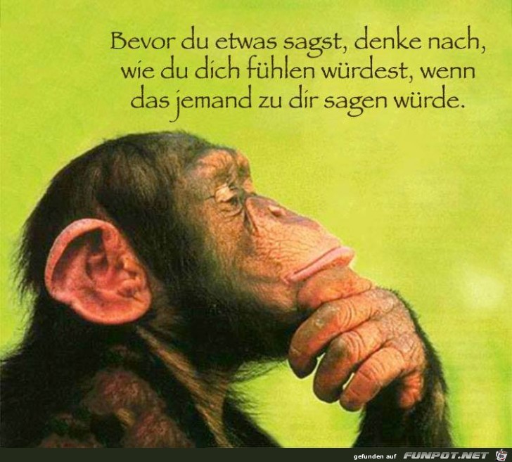 Bevor du etwas sagst