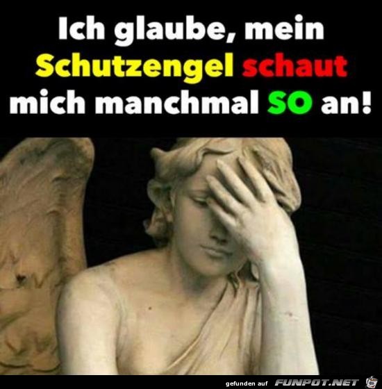 das könnte sein das könnte sein