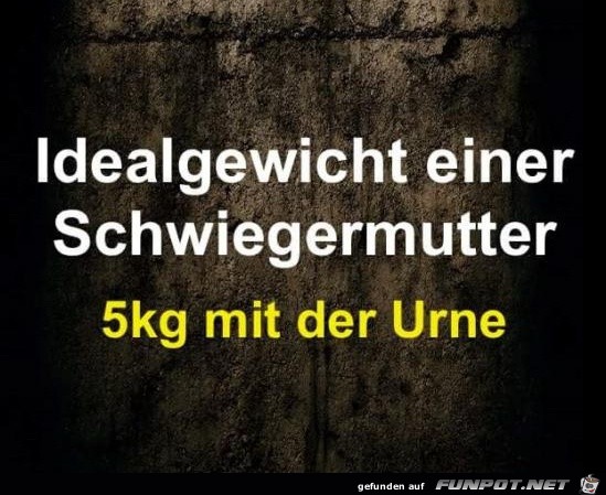 Gewicht Gewicht