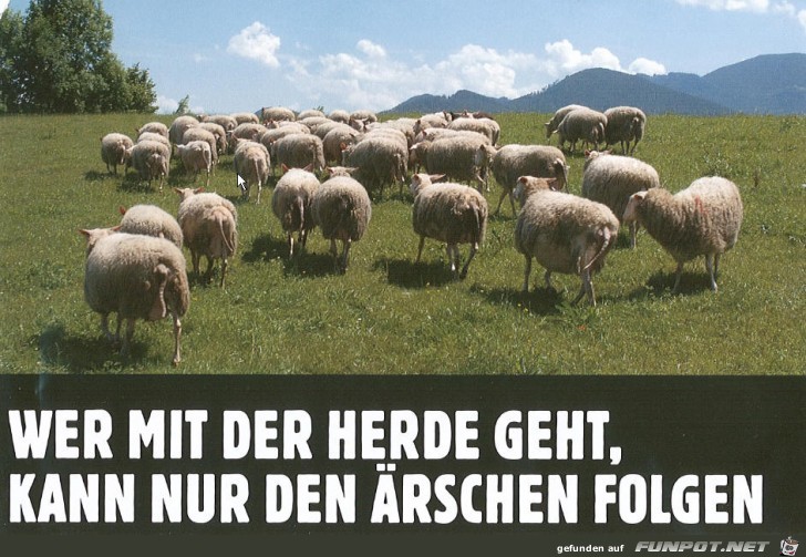 Weisheit des Tages