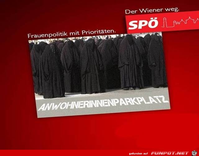 Frauenpolitik SPÖ.... Frauenpolitik SPÖ....
