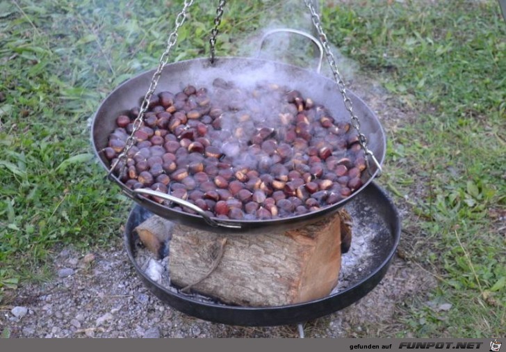 Nochmals Kastanien braten Nochmals Kastanien braten