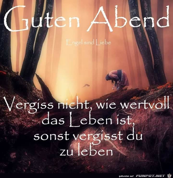 Vergiss nicht Vergiss nicht