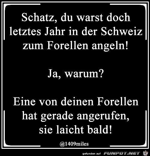 Forellen angeln Forellen angeln