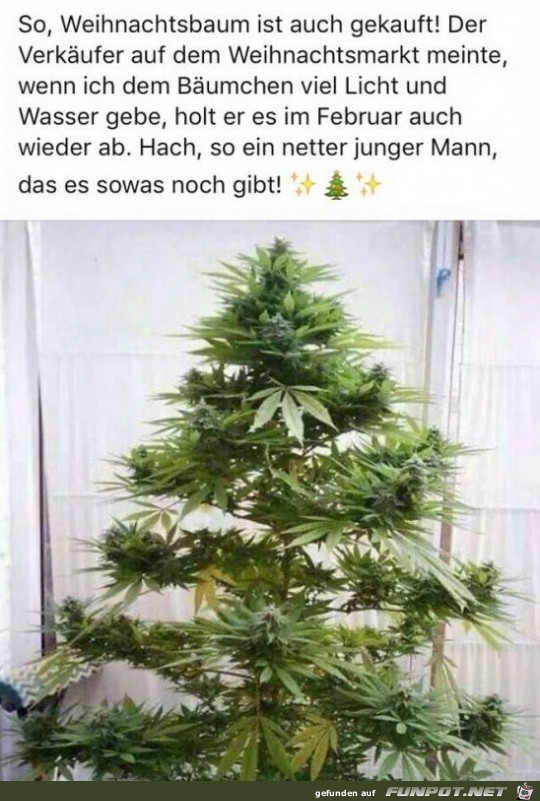 Weihnachtsbaum