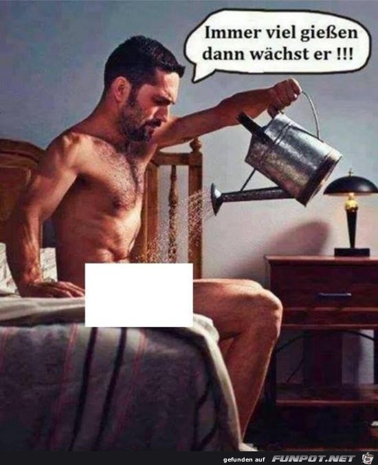 immer viel giessen...... immer viel giessen......