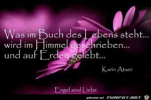 Was im Buch des Lebens steht Was im Buch des Lebens steht