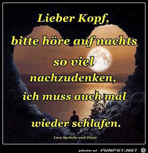 Lieber Kopf Lieber Kopf