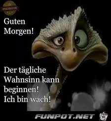 Guten Morgen