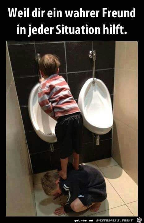 Wahre Freundschaft Wahre Freundschaft