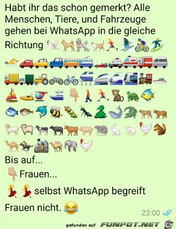 Auch Whatsapp versteht Frauen nicht