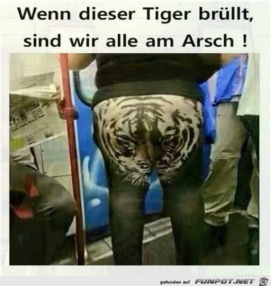 wenn dieser Tiger brüllt...... wenn dieser Tiger brüllt......