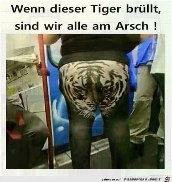 wenn dieser Tiger brllt......