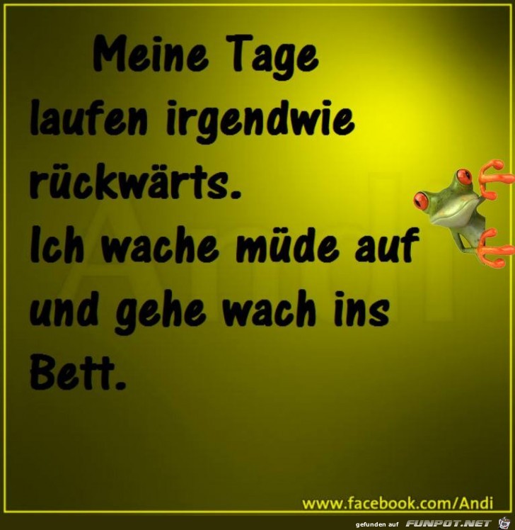 Meine Tage Meine Tage