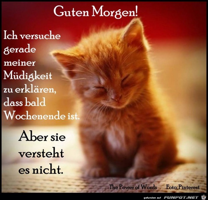 Guten Morgen Guten Morgen