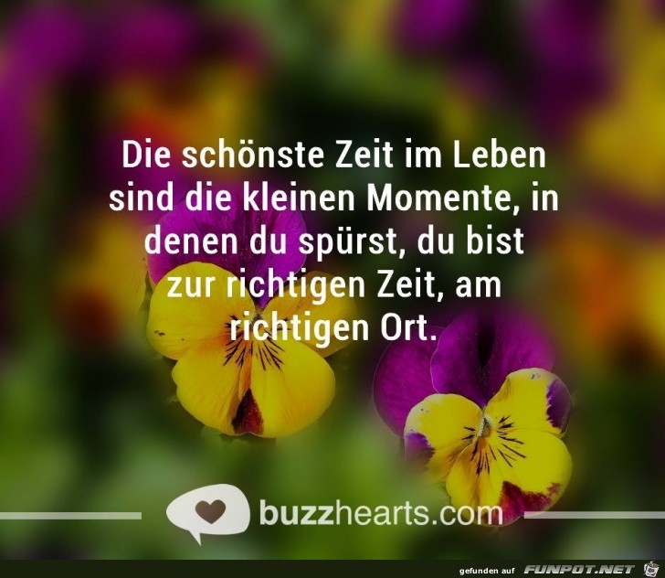 Die schoenste Zeit im Leben Die schoenste Zeit im Leben
