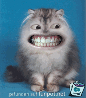 grins grins