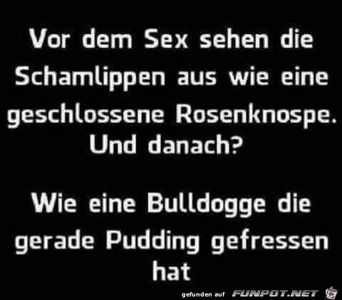 Fieser Vergleich Fieser Vergleich